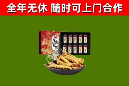 江口烟酒回收冬虫夏草礼盒.jpg